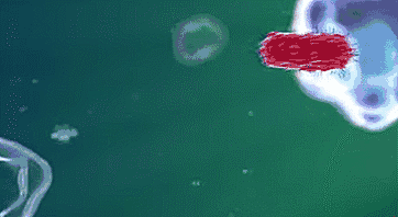 68d140d56c9151329464db278385fe43