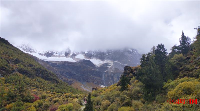 微信截图_20200709142241.png 微信截图_20200709142241.png