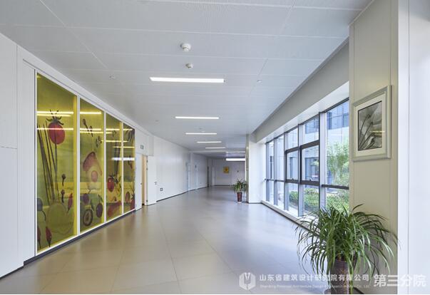 生命之花，为爱绽放——专访枣庄妇幼设计“掌舵人”王岗