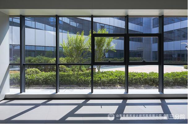 生命之花，为爱绽放——专访枣庄妇幼设计“掌舵人”王岗