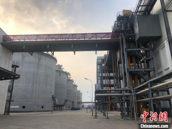 舟山国际粮油产业园区。　林波 摄