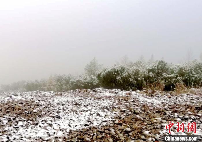 降雪现场。　王妮娜 摄