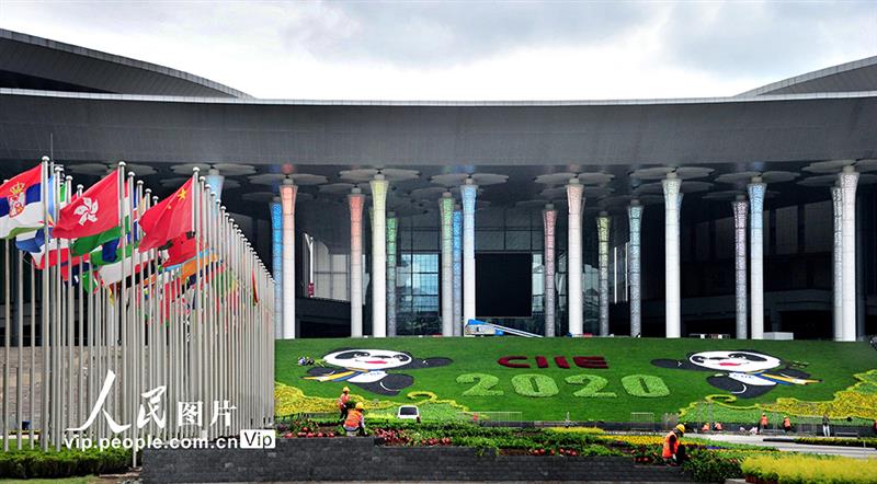 上海：花卉扮靓进博会迎宾广场【4】