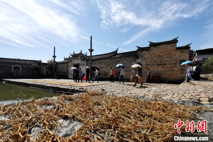 培田村古村落吸引不少游人前来参观。　张金川 摄