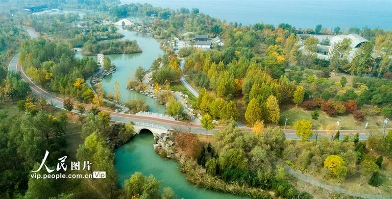 安徽淮北:层林尽染美如画【5】