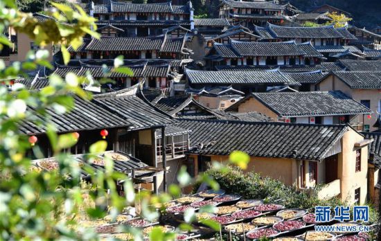 （美丽中国）（5）福建尤溪：诗意桂峰 晒秋人家