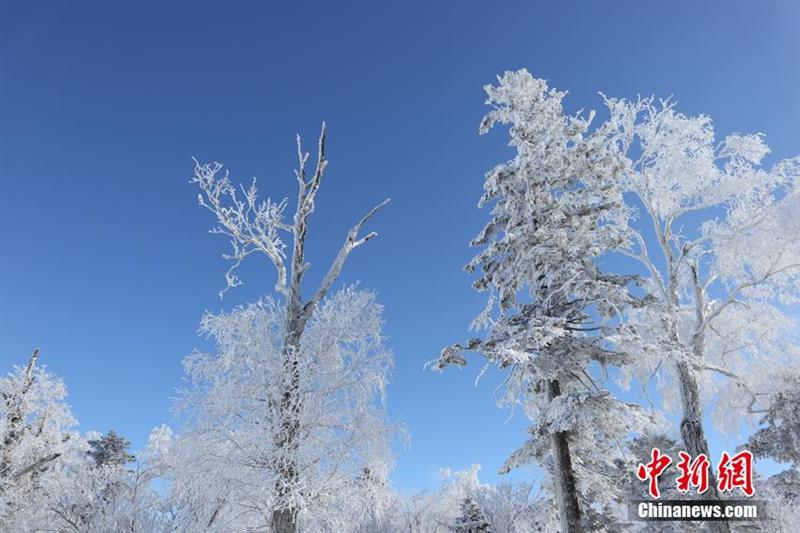 吉林北大湖高山雾凇宛如仙境