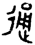 兼性思维与文化基因