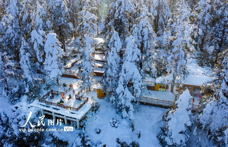 2020年12月23日拍摄的瓦屋山雪景。