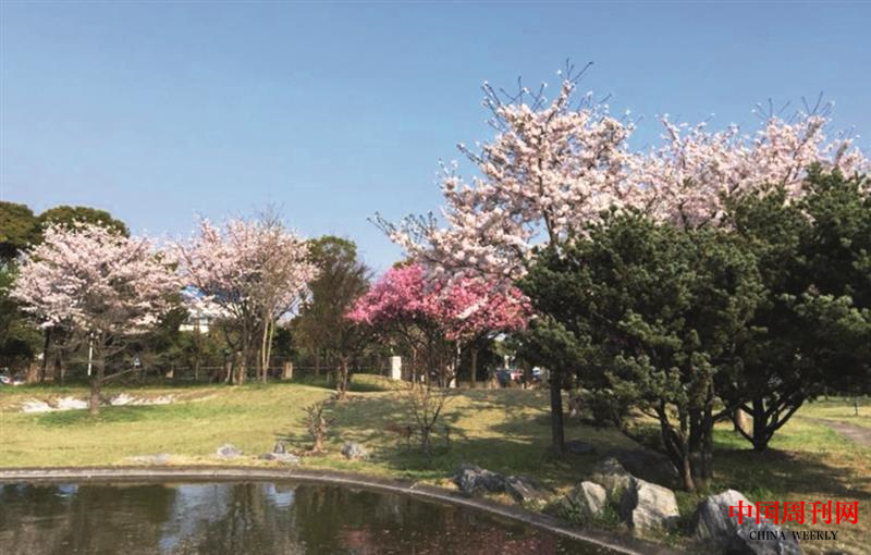 微信图片_20201228120206.png 微信图片_20201228120206.png