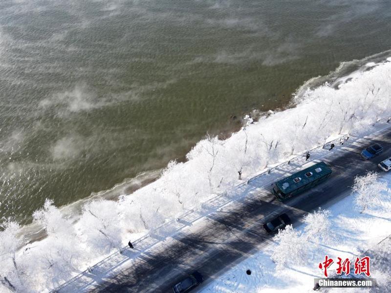 航拍松花江岸雾凇：玉树琼枝犹若仙境