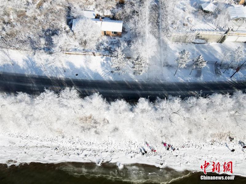 航拍松花江岸雾凇：玉树琼枝犹若仙境