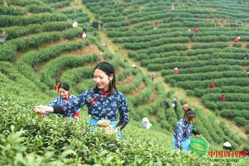 微信图片_20210412151717.jpg 微信图片_20210412151717.jpg