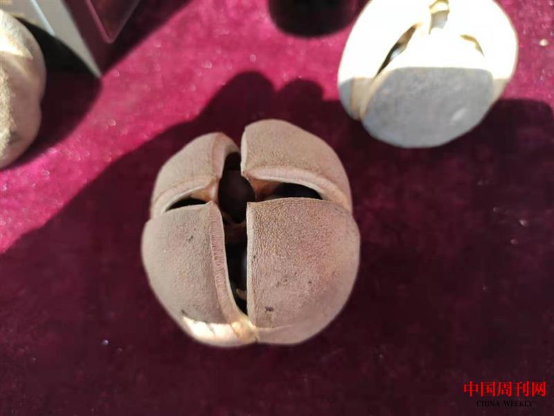 微信图片_20210415170627.jpg 微信图片_20210415170627.jpg