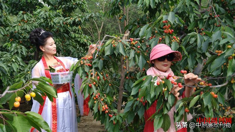 微信图片_20210517115009.jpg 微信图片_20210517115009.jpg