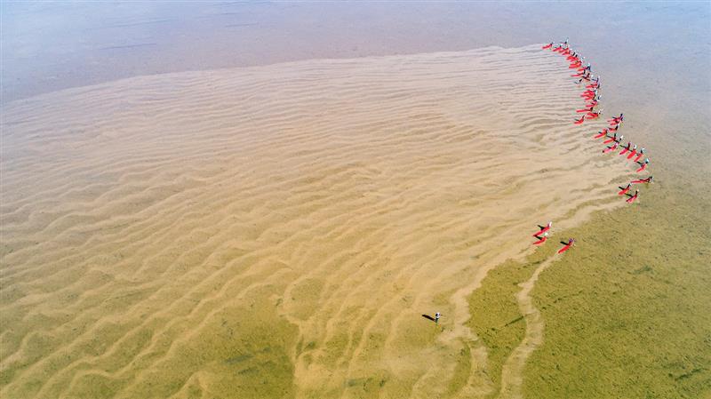 如图片无法显示,请刷新页面
