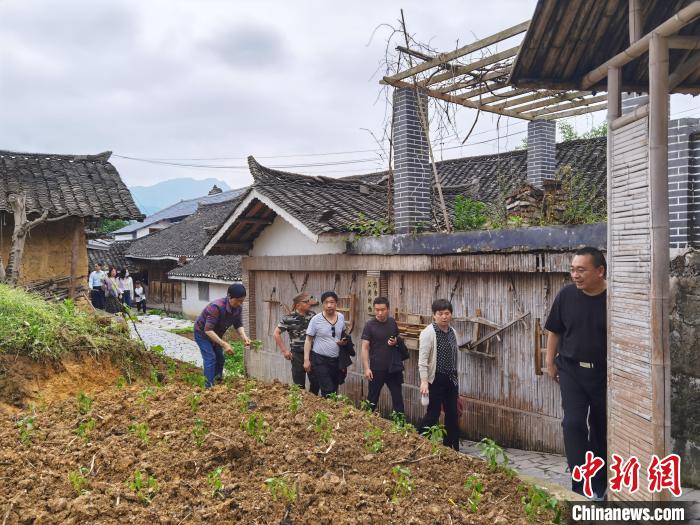 图为游客游览花茂村 周燕玲 摄