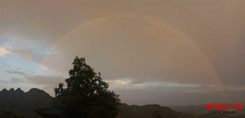 图片 3.png 图片 3.png