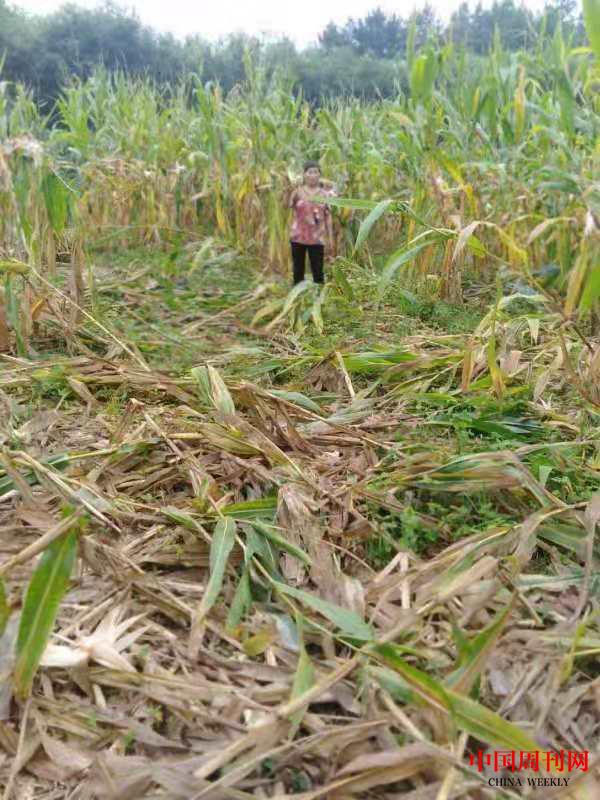 微信图片_20210809152902.jpg 微信图片_20210809152902.jpg