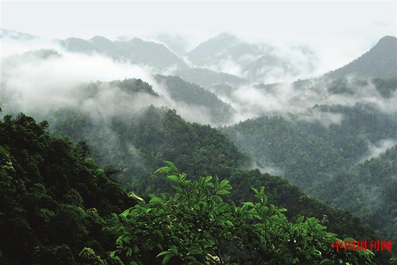 人间仙境三百山 (3).jpg