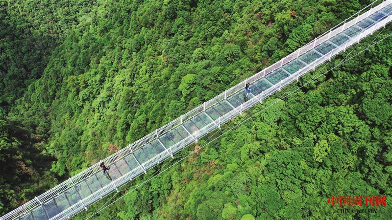 三百山观光玻璃桥.jpg