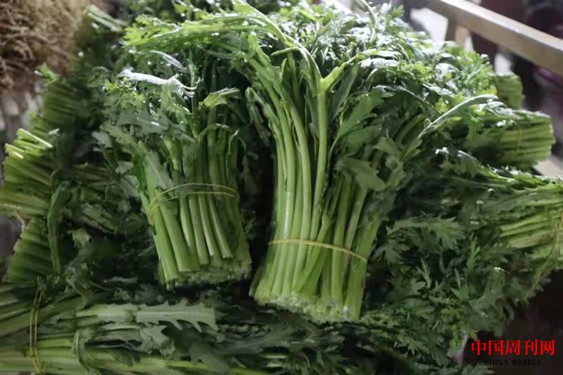 微信图片_20220125213507.jpg 微信图片_20220125213507.jpg