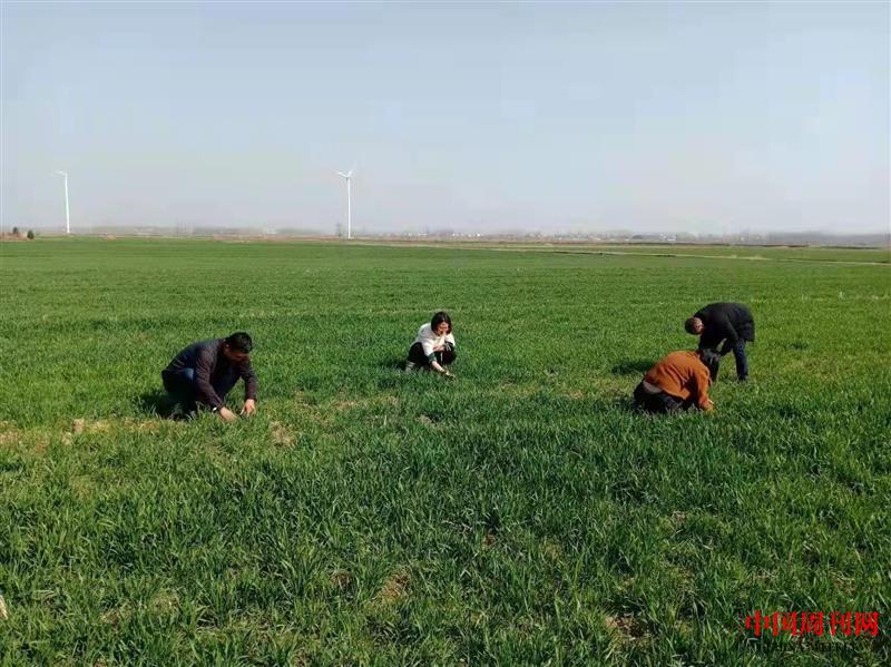 微信图片_20220314080609.jpg