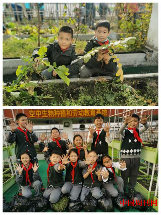 图片14.png