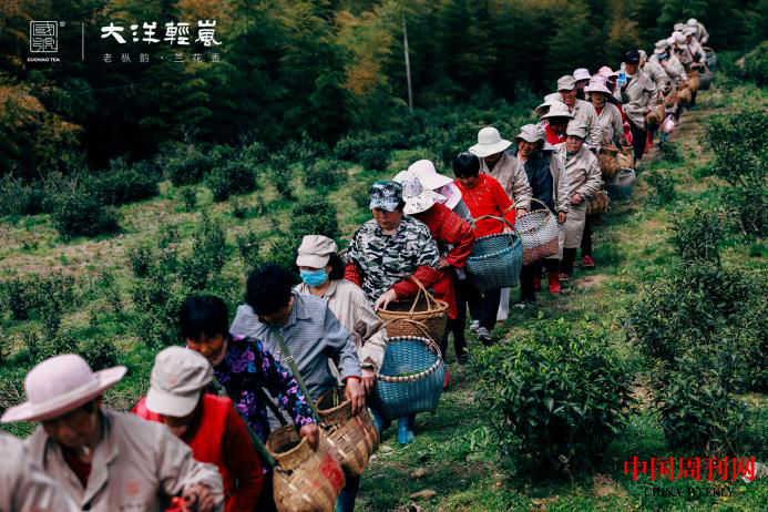 图片7.png
