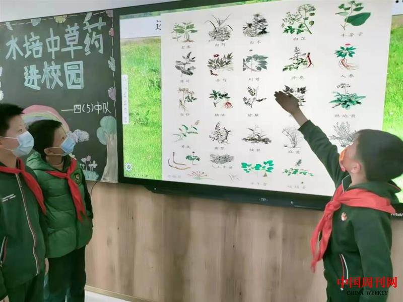 图片2.png
