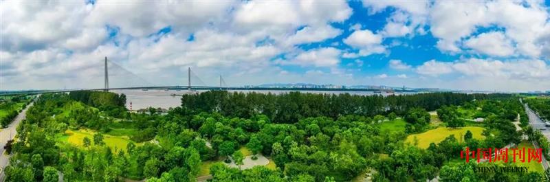 880.jpg