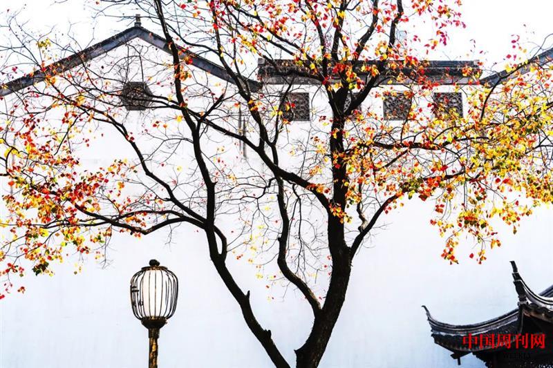 微信图片_20220708141536.jpg