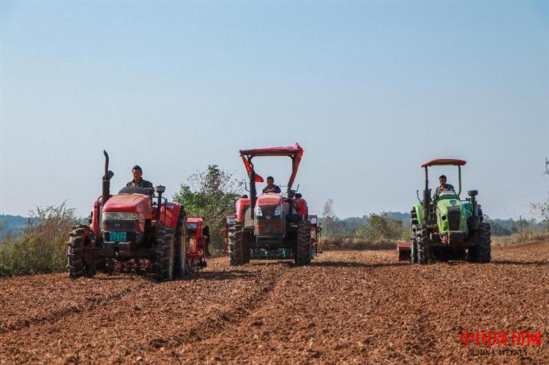 图片1.png 图片1.png