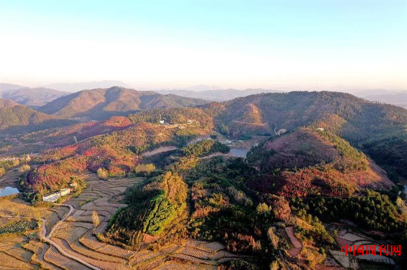 图片1.png 图片1.png