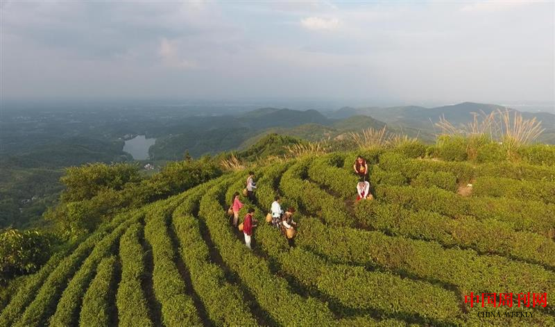 图片4.png 图片4.png