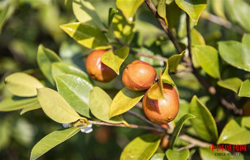 微信图片_20221109101236.jpg 微信图片_20221109101236.jpg