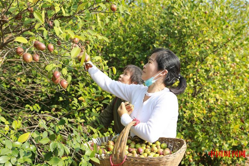 微信图片_20221109101240.jpg 微信图片_20221109101240.jpg