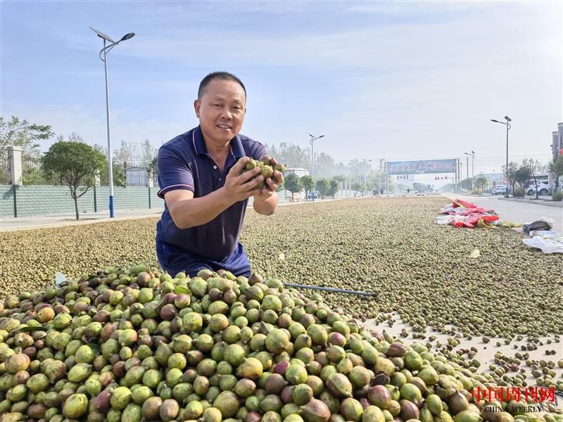 微信图片_20221109101249.jpg 微信图片_20221109101249.jpg