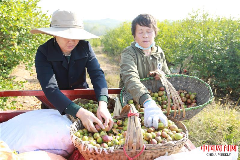 微信图片_20221109101253.jpg 微信图片_20221109101253.jpg