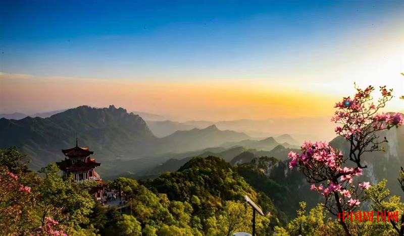 图片2.png 图片2.png