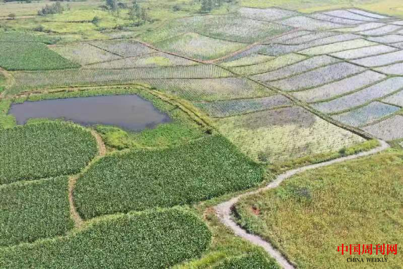 图片2.png 图片2.png