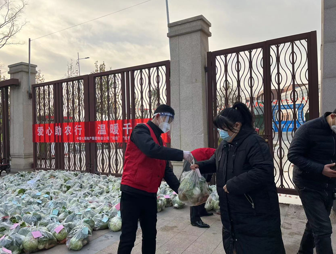 “关爱你我他（她） 温暖千万家”团团助农在行动—团郑州市委联合中建七局地产集团助农卖菜解难题