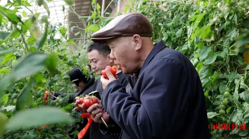 图片2.png 图片2.png