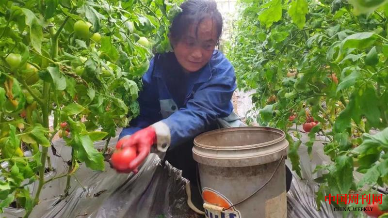 图片3.png 图片3.png