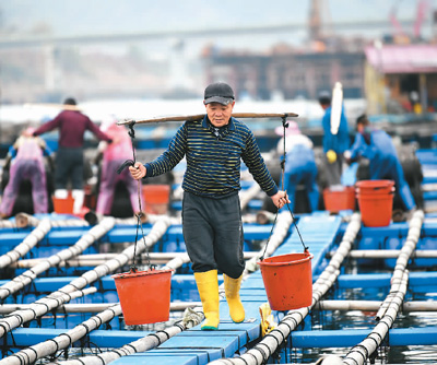 中国优化完善多项阶段性税费优惠政策—— 税惠力度多大？听企业算算账