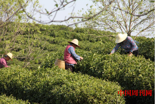微信截图_20230425093853.png