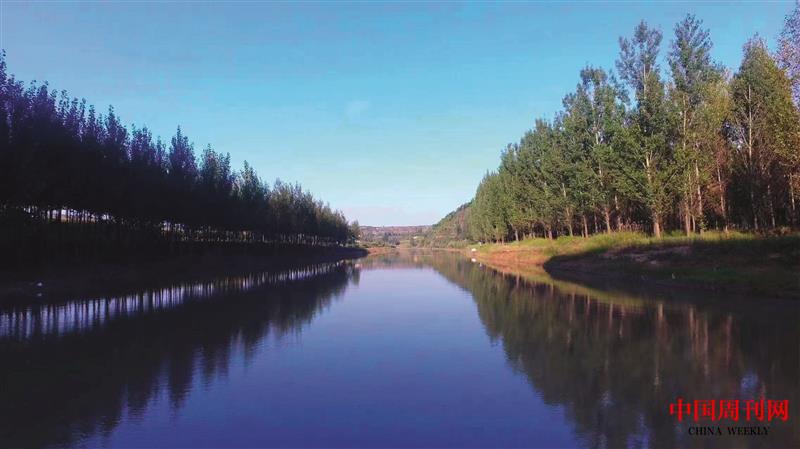 6.沁河百里绿化带.jpg