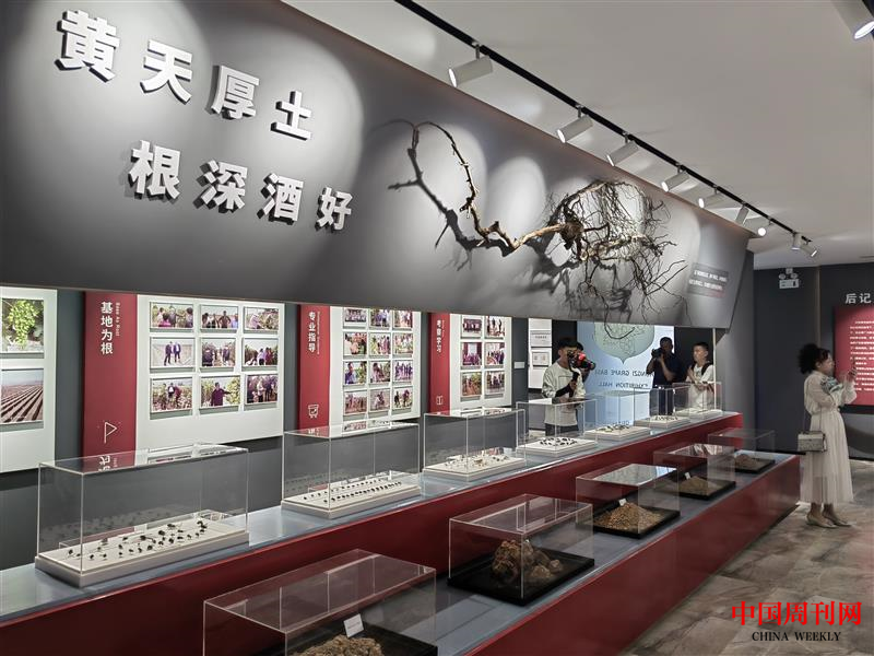图片14.png