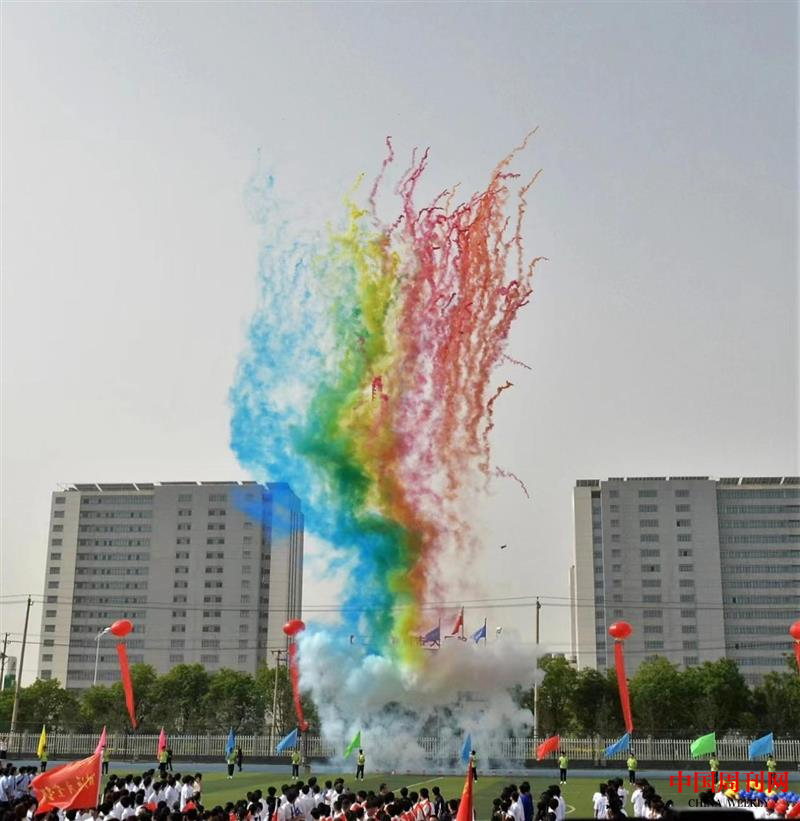 图片9.png 图片9.png