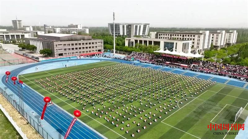 图片13.png 图片13.png